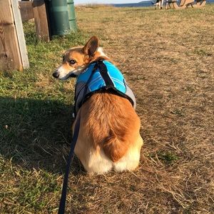 Meet your Posher, Nancy